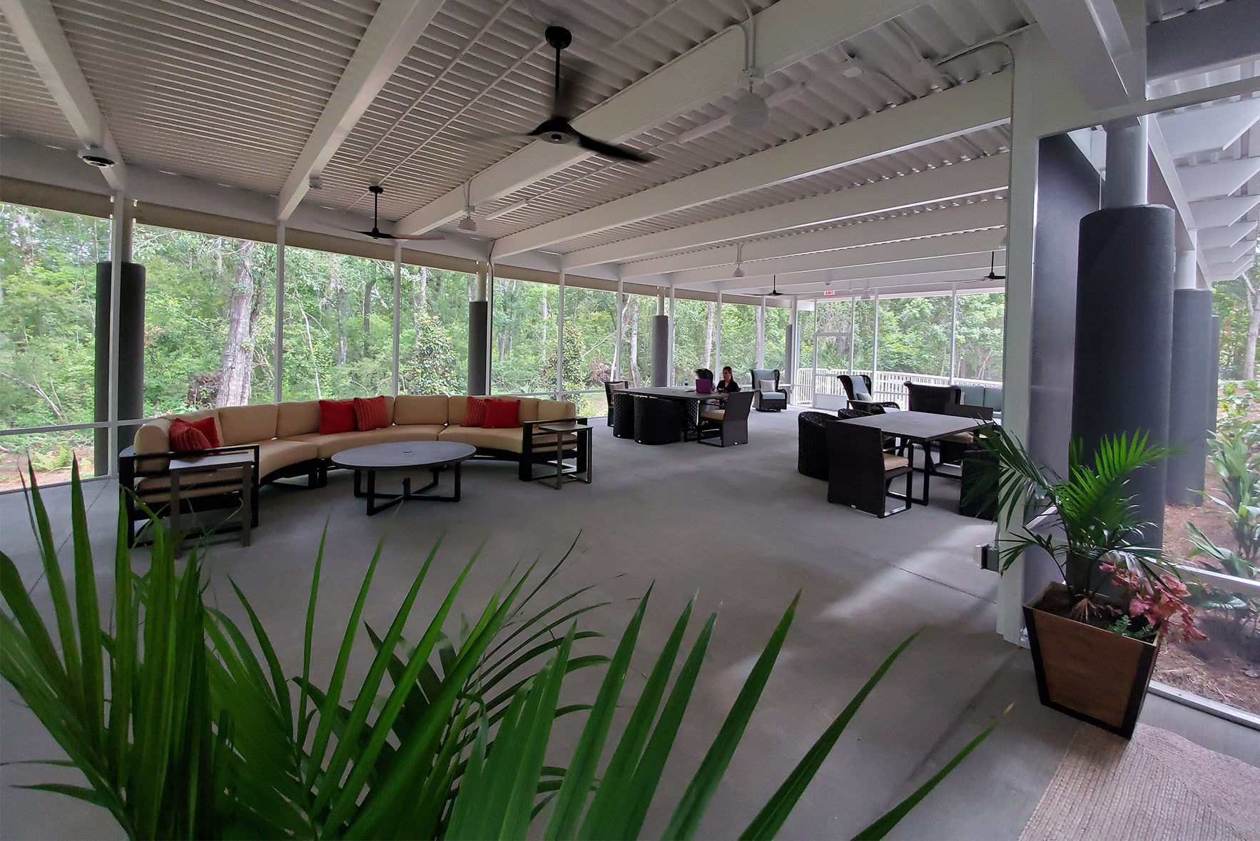 Indoor office area that looks like outdoor